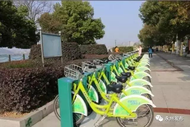 取車難、停車也難？學會這一招，輕松玩轉公共自行車！